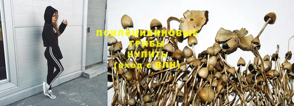 винт Навашино