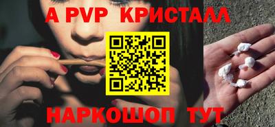 шишки Аргун