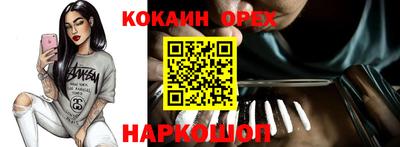 шишки Аргун