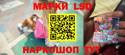 шишки Аргун