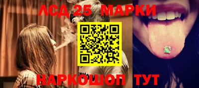 шишки Апшеронск