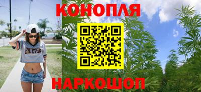 шишки Апшеронск