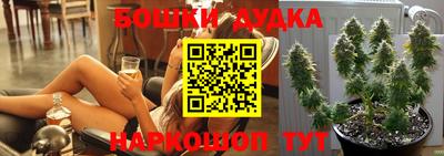 сатива Аргун