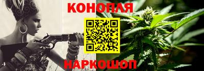 шишки Аргун