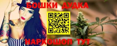 шишки Аргун