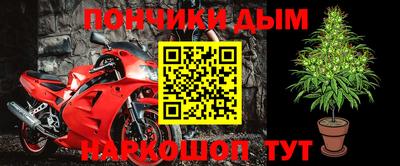 шишки Апшеронск