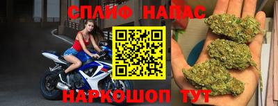 шишки Аргун