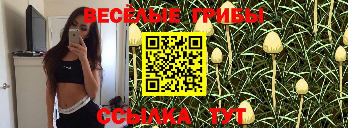 Галлюциногенные грибы GOLDEN TEACHER Сарапул